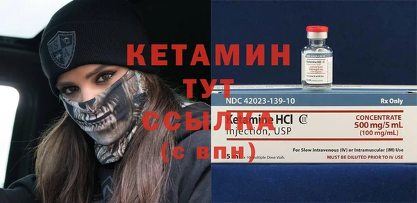 гидра Вязьма