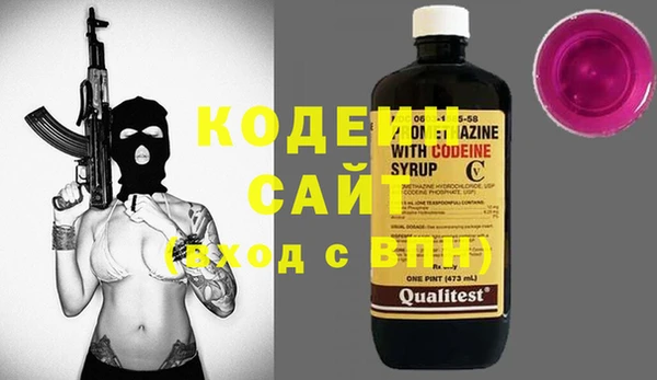 гидра Вязьма