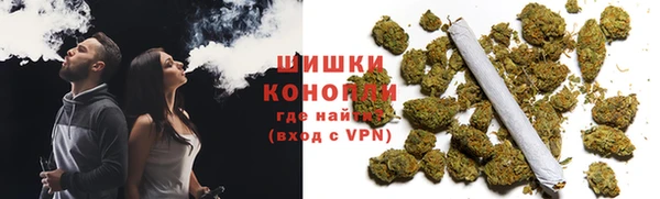 гидра Вязьма