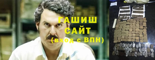 гидра Вязьма