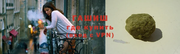 гидра Вязьма