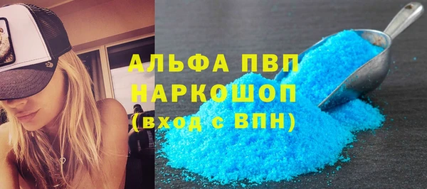 гидра Вязьма