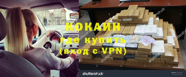 гидра Вязьма