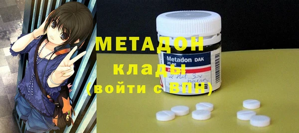 гидра Вязьма