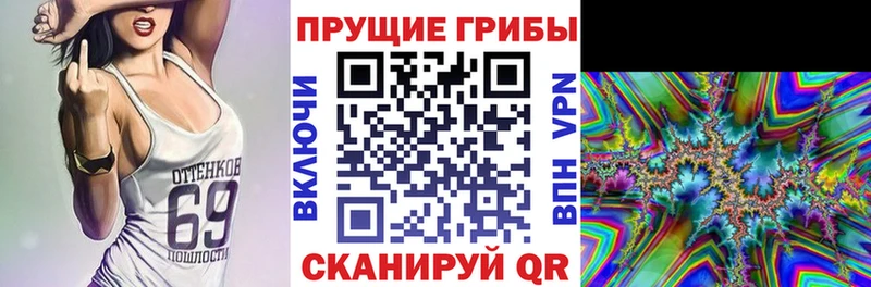 Псилоцибиновые грибы Psilocybe  Купить закладки  Кувандык 